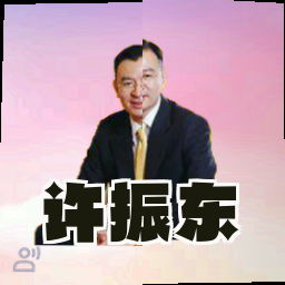 许振东